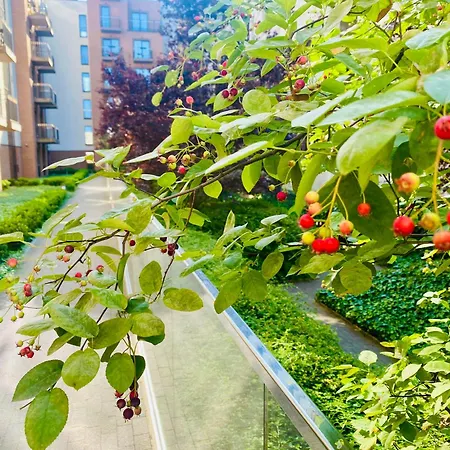 Concept Port شقة وارسو